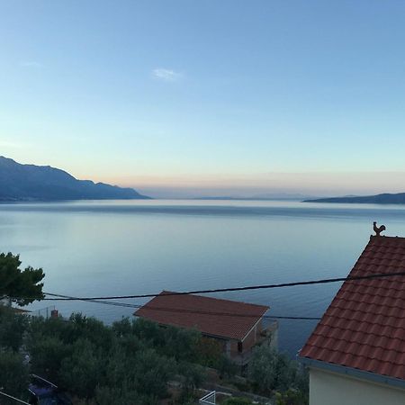 Hostel Dalmatia Marusici  المظهر الخارجي الصورة