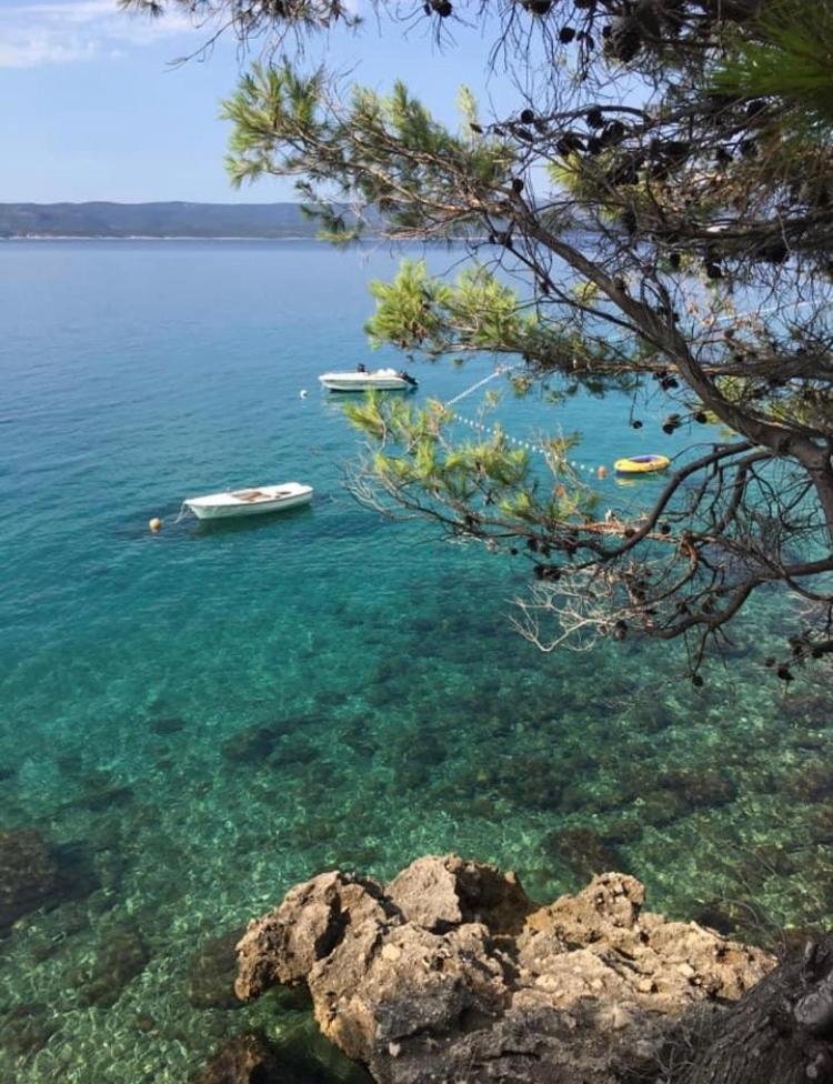 Hostel Dalmatia Marusici  المظهر الخارجي الصورة