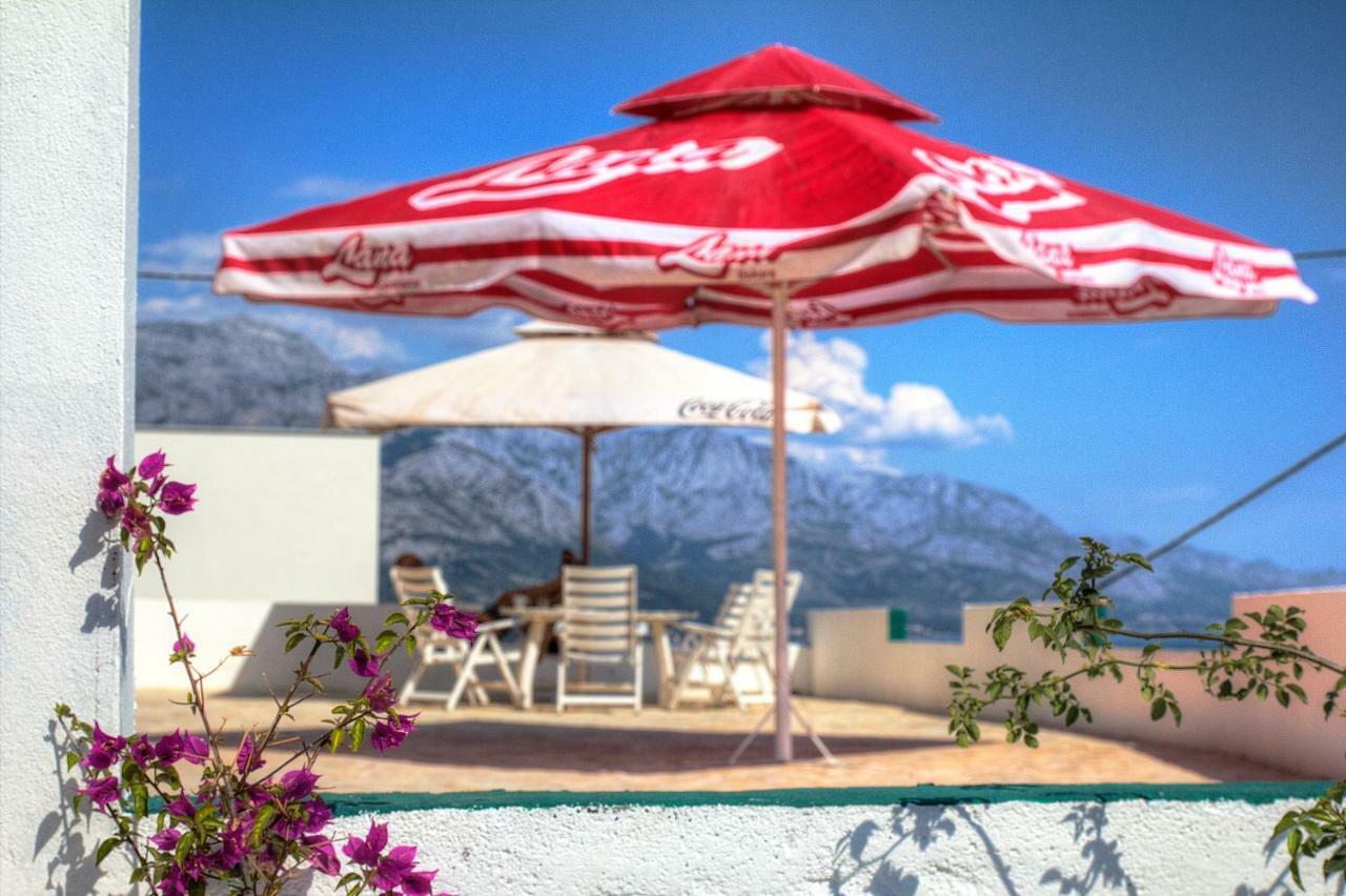 Hostel Dalmatia Marusici  المظهر الخارجي الصورة
